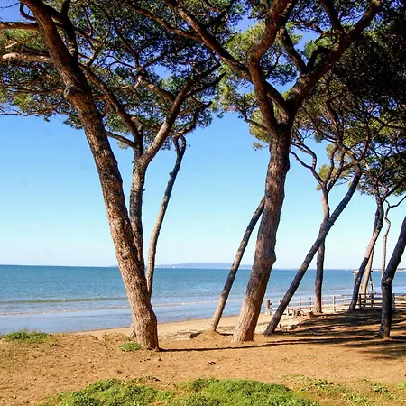1 Bedroom Beautiful In *